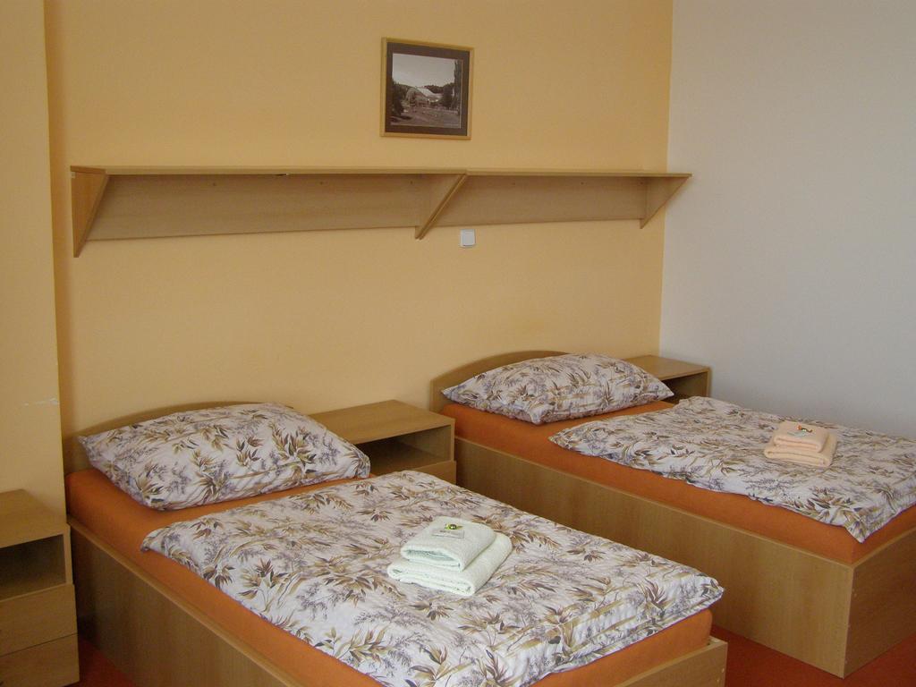 Hotel SPORTARÉNA TEPLICE příspěvková organizace Habitación foto